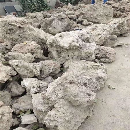 乾富厂家供应园林 造景上水石 假山吸水石 吸水石价格