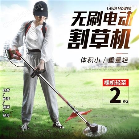 汇之鑫四冲程割草机多功能小型家用背负收除灌神器开荒汽油打草机