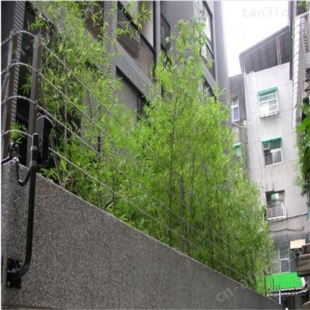 厂家供应   刀片刺网直线刀片刺网   量大优惠