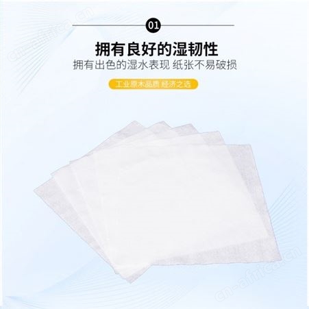可选尺寸防静电无尘纸  精密仪器擦拭纸 不伤物工业纸