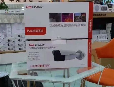 海康威视热成像测温机加黑体套装DS-2TXB2617-6/QA新品