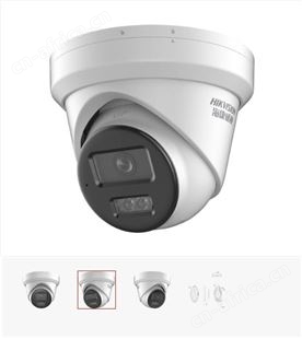 海康威视400万星光级红外海螺型半球摄像机DS-2CD3346（D）WDV3-I