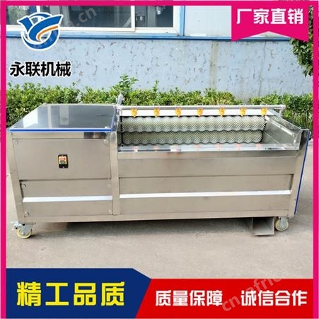 天冬去皮清洗机 毛辊式泡参清洗机 辊刷式去皮清洗机