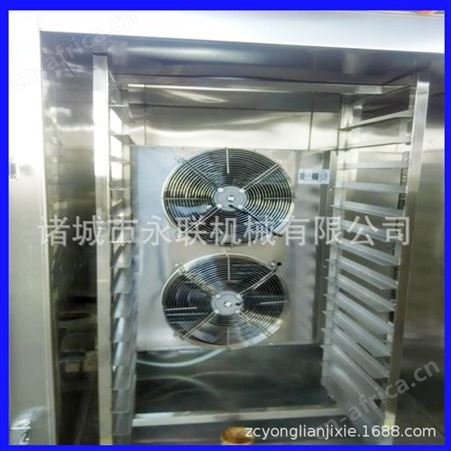 蛋挞皮小型压缩机速冻柜 饺子超低温快速冷冻速冻柜