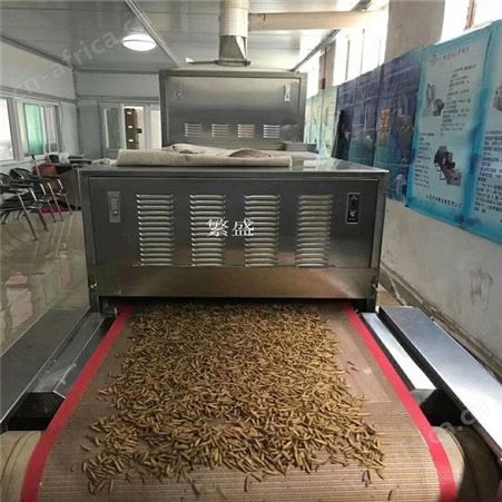微波干燥烘干机 杀青杀茵机输送带网带 布带