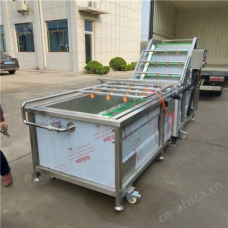 土豆片气泡清洗机 莲藕鼓泡清洗机 自动清洗去淀粉果蔬加工设备