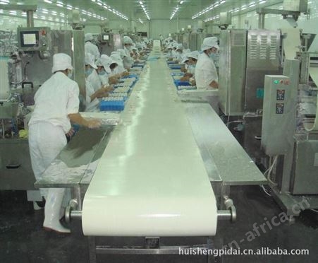 食品输送带 白色PVC输送带 流水线输送带