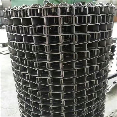 LH 工业用不锈钢输送长城网带 水草打捞长城网带 供应定制
