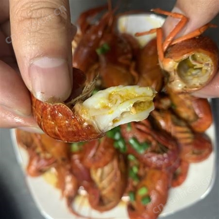 麻辣小龙虾 潜江熟食小龙虾华山良仁加热即食口味胜过其它同级别产品