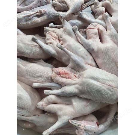 冻鹅 批发冻黑棕鹅 速冻整鹅烧鹅 多肉鹅脚翅 鲜鹅皇
