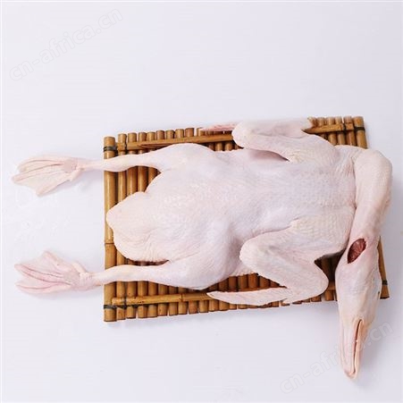 白条鸭田鸭广东脆皮烧鸭专用鸭