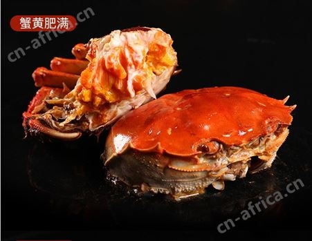 8月11到20日潜江鲜活大闸蟹六月黄淡水螃蟹3.5两规格全母蟹56/斤30斤起售