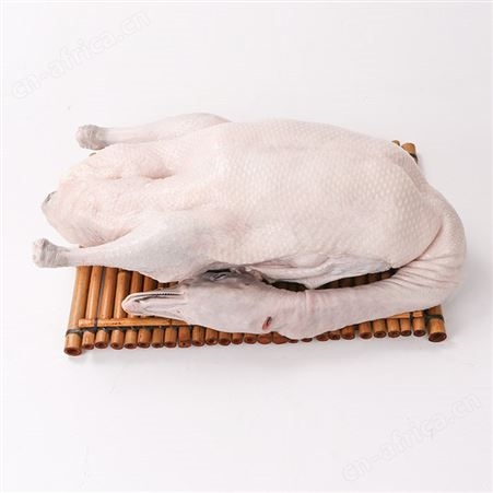 正宗黑棕鹅冰鲜批发厂家