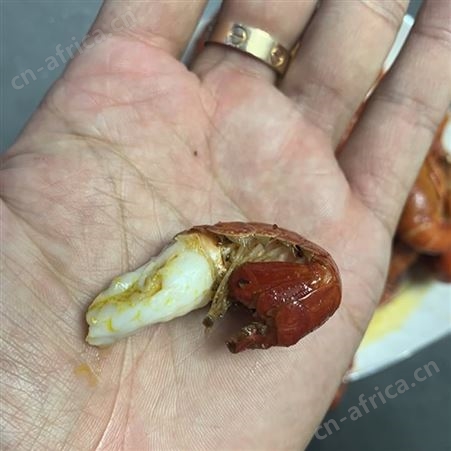 麻辣小龙虾 潜江熟食小龙虾华山良仁加热即食口味胜过其它同级别产品