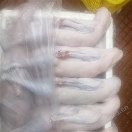  广东清远优质新鲜冰鲜冷冻鹅