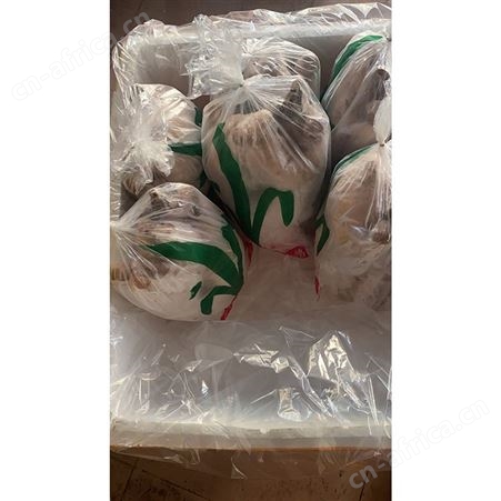 鹅批发 净膛鹅 冰鲜鹅 冷冻黑棕鹅批发 鲜鹅皇