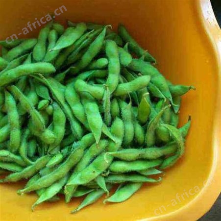 绿拓食品凉菜餐厅常用毛豆荚 免洗易烹饪带壳毛豆出售