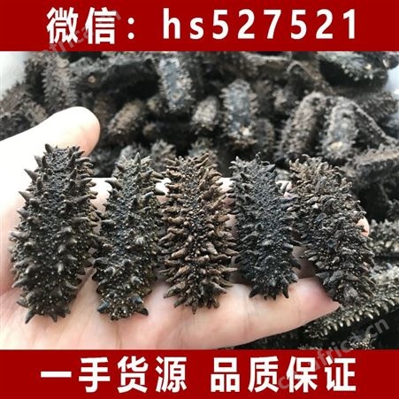 俄罗斯纯野生纯淡干海参干货 关东红参刺参 15倍高泡发率