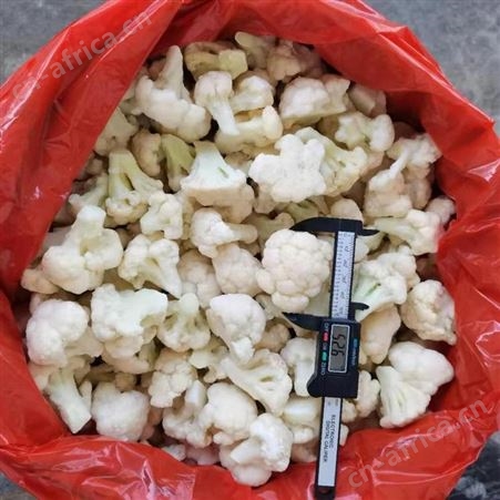 日照緑拓食品---速冻白花菜批发-速冻蔬菜加工厂
