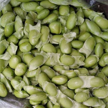 日照绿拓食品-优质速冻毛豆批发-厂家现货供应