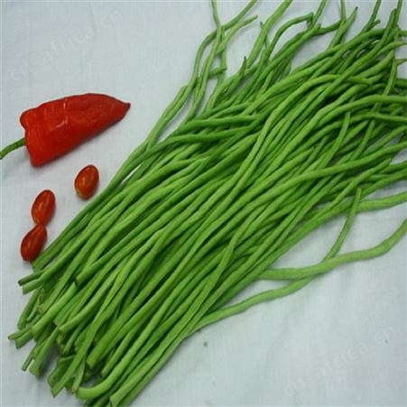 日照绿拓食品-速冻豇豆-冷冻豇豆段-速冻蔬菜厂家