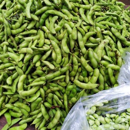绿拓食品凉菜餐厅常用毛豆荚 免洗易烹饪带壳毛豆出售