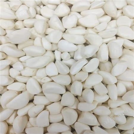 优质速冻蒜块 开袋即食保鲜蒜泥批量出售 欢迎咨询 绿拓食品