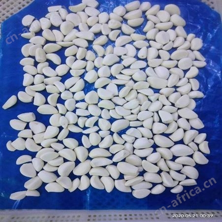 绿拓食品厨房调味做法用生蒜米 速冻蒜瓣加工供应