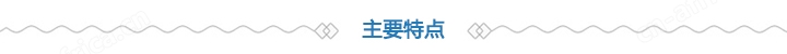 主要特点