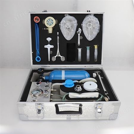 MZS30煤矿用自动苏生器