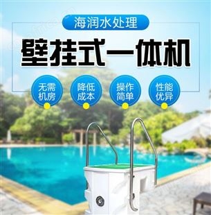 泳池壁挂式一体机 水处理设备过滤器设备生产 海润