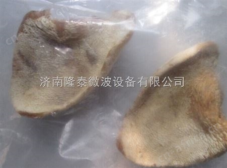 自动化加工猪耳朵鸡胸肉烘干设备