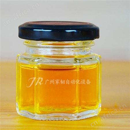 家韧直线式极速膏液体灌装机 单头自动瓶装蜂蜜转子泵罐装机