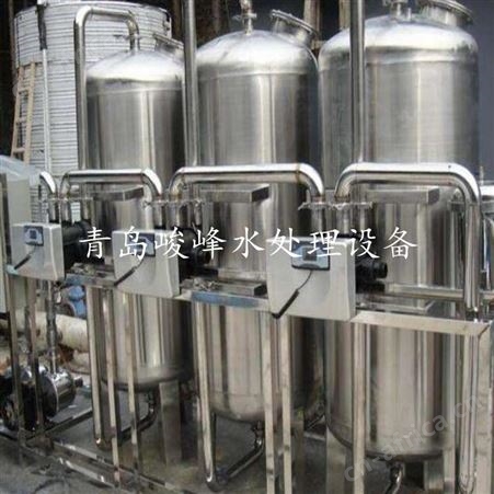 反渗透净化水设备支持定制 酒厂饮料厂用水 单级20吨 峻峰
