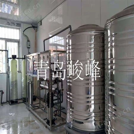 地下水过滤反渗透设备 一级除盐纯净水设备配置 峻峰环保水处理