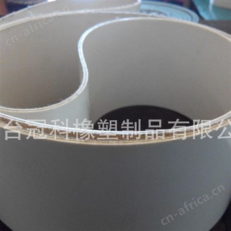 食品输送带 pvc工业皮带 打孔 裙边 挡板输送带