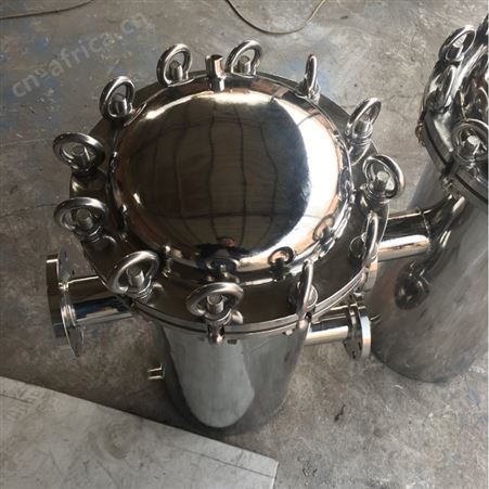 蓝式过滤器 篮式管道除污器 法兰过滤器 工业管道过滤器DN80 100
