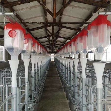 华清环保 猪舍自动料线 养猪场料线 料线主机批发报价 厂家直发