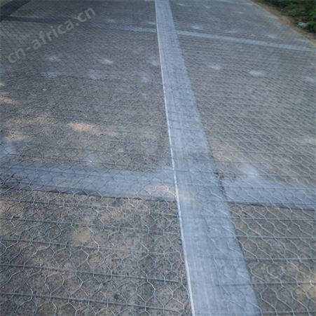 心早热镀锌丝 锌铝合金丝 路面加筋网 600目 xz-1740