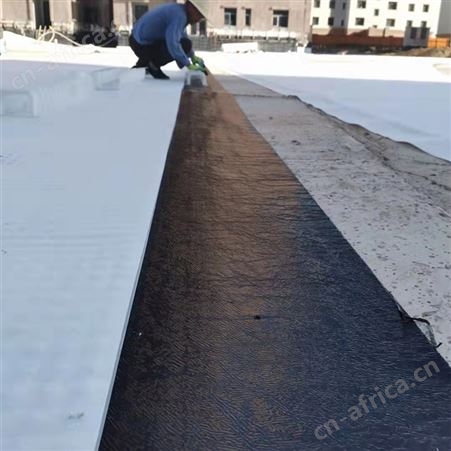 H14mm高分子排水异形片复合排水板海绵城市虹吸排水系统
