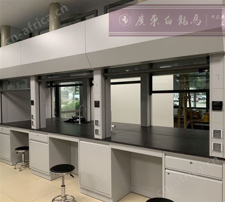 白龙马实验室、定制 全钢通风柜 pp材质 源头工厂