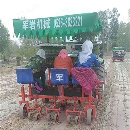 土豆种植机 三行蔬菜移栽机 秧苗移栽机甘蓝移栽机