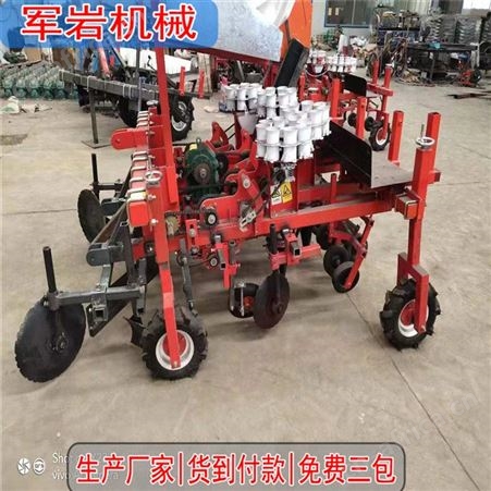 西兰花、包菜移栽机_岩_移栽机_加工供应