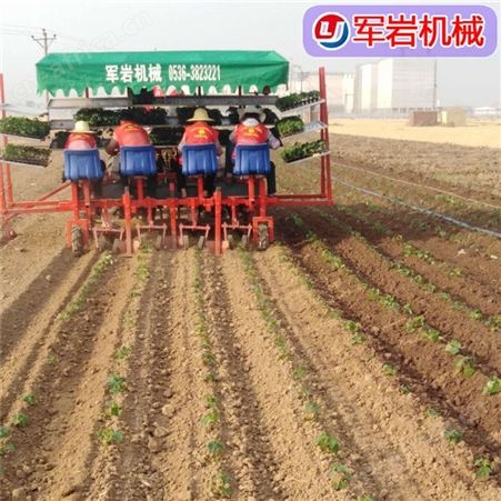 西兰花移栽机 岩 白菜移栽机 全自动移栽机厂家批发零售