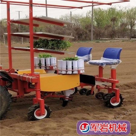 岩机械,还魂草移栽机, 还魂草栽植机, 菊花移栽机