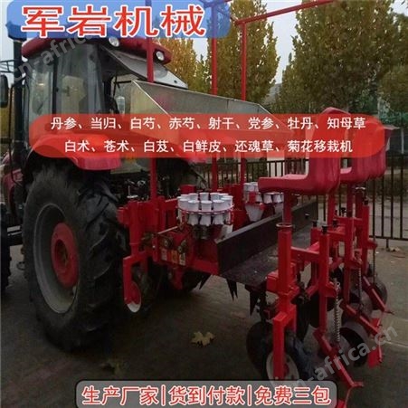 楸树苗移栽机|冬青移栽机|绿化树苗移栽机 岩机械-国内秧苗移栽机标准生产厂家