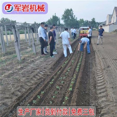 辣椒蔬菜移栽机种植机_军岩_成都辣椒移栽机_经销商供应