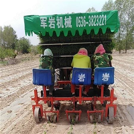 土豆种植机 三行蔬菜移栽机 秧苗移栽机甘蓝移栽机
