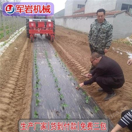 辣椒移栽机 2020年蔬菜移栽机 甘蓝移栽机 岩机械 来厂订购