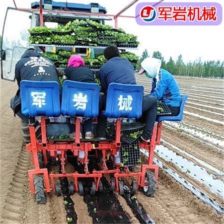 西兰花移栽机 岩 白菜移栽机 全自动移栽机厂家批发零售